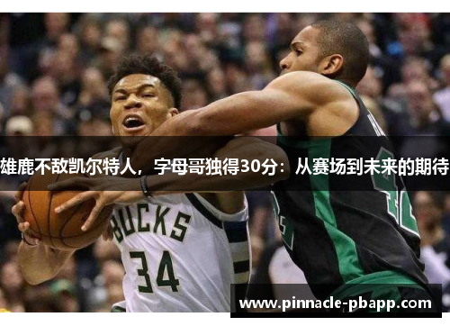雄鹿不敌凯尔特人，字母哥独得30分：从赛场到未来的期待