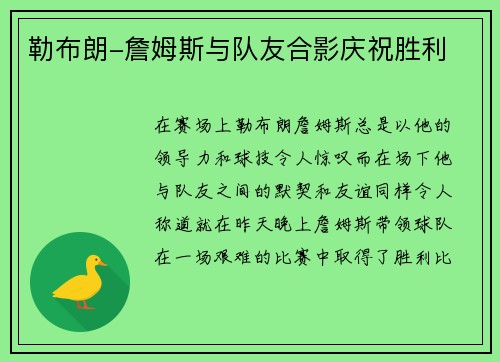 勒布朗-詹姆斯与队友合影庆祝胜利