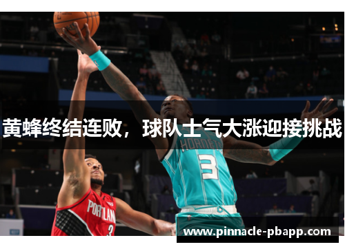 黄蜂终结连败，球队士气大涨迎接挑战