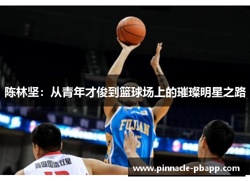 陈林坚：从青年才俊到篮球场上的璀璨明星之路